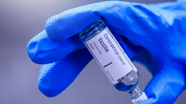 Японска ваксина срещу коронавируса премина успешно опитите върху животни