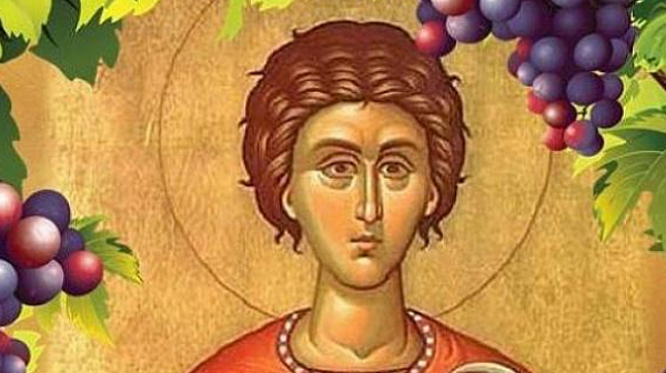 Св.Трифон - Зарезан, денят на лозата и виното