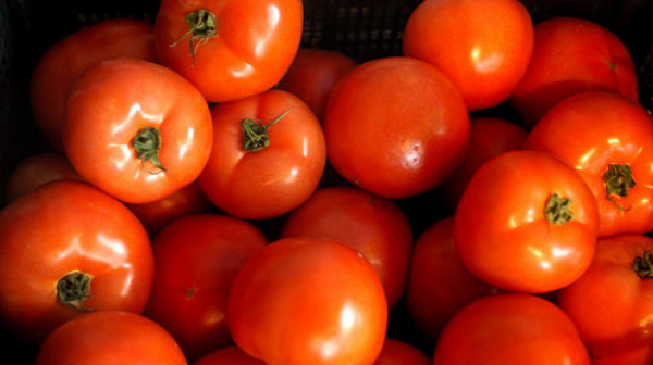 Хванаха 5 тона домати с пестиците от Турция на „Капитан Андреево”