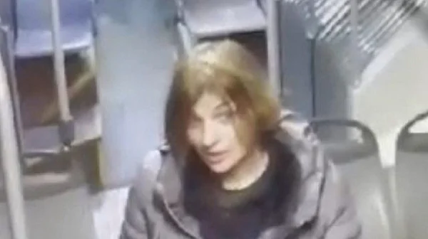 Жената е намушкала четиримата германци, защото не говорели български