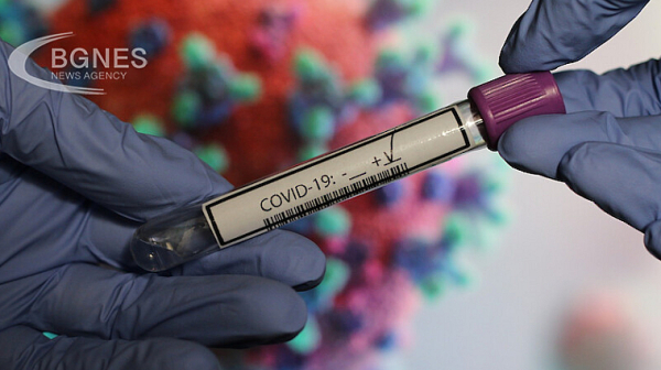 550 са новорегистрираните случаи на коронавирус у нас, осем души са починали