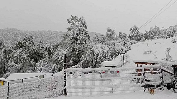 20 см сняг в Русенско, има села без ток