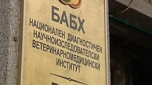 В бивше ТКЗС: Разкриха незаконна кланица с над 10 тона месо