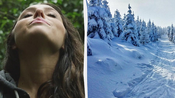 Снегът наистина има миризма: Учените го обясняват