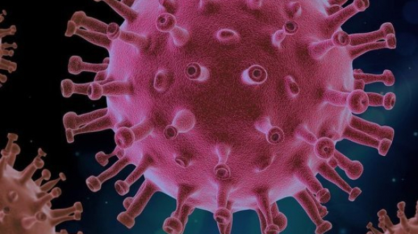 Заразените с коронавирус - под 2% от изследваните