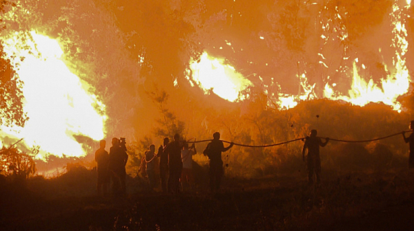 Огненият ад в Европа унищожи рекордните 700 хил. хектара гори