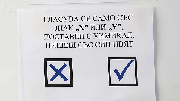 493 секции в 55 държави: Как България организира вота зад граница?