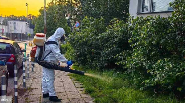 В разгара на пролетта: София срещу вредителите – достатъчно ли е?