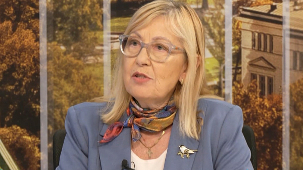 Проф. Велизарова: Болните деца не са интересни, защото не носят достатъчно пари