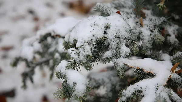 Студеното време продължава, жълт код за седем области