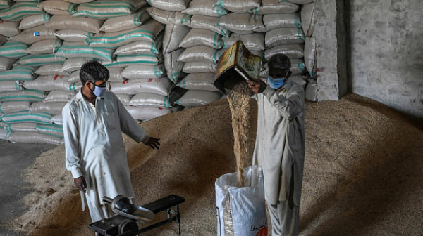 Битка между Индия и Пакистан за притежанието на ориз басмати в Европейския съюз