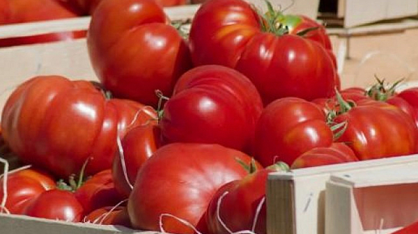 През април: С 20,8% по-скъпи домати, а годишната инфлация скочи до 14,4%