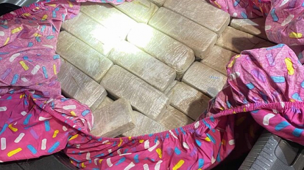 Откриха над 100 кг марихуана на ферибота в Оряхово