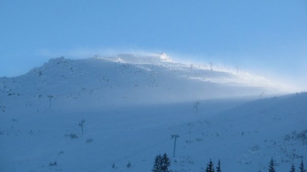 С кучета и дронове: Издирването на изчезналия във Витоша младеж продължава
