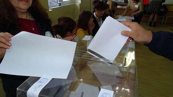 Най-висока избирателна активност в Георги Дамяново, най-ниска във Варна и Пловдив