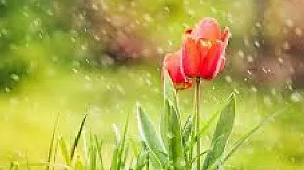 Облачна събота, валежи – температури 15-21°