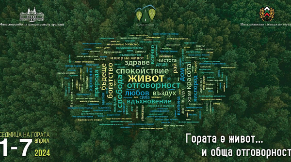 ЮИДП-Сливен ще раздаде безвъзмездно 10 000 фиданки по повод седмицата на гората