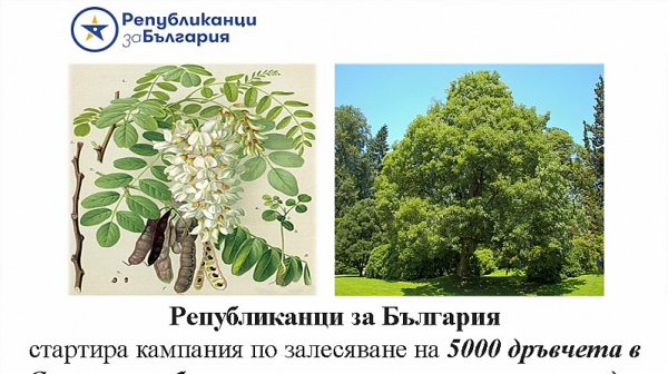 Републиканци за България-София-град стартира кампания по залесяване на 5000 дръвчета
