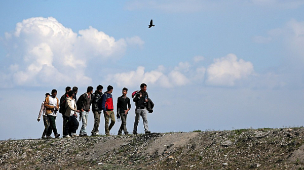 Задържаха 11 нелегални мигранти в Свиленградско, преминали от Турция
