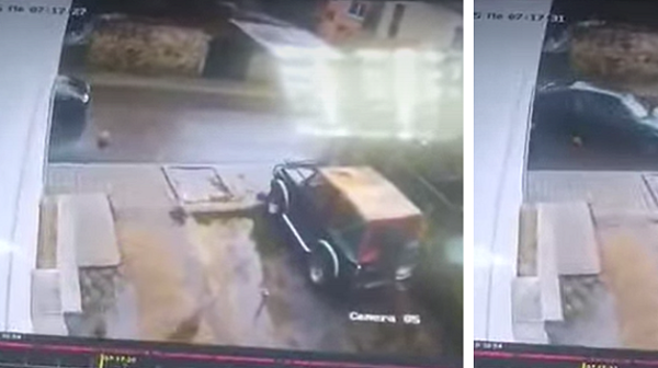 Дни след смъртта на Мая: Бебе кученце умишлено прегазено в Якоруда, искат наказания