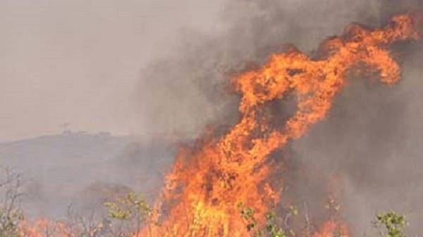 Шест държави са помогнали на България в гасенето на горски пожари