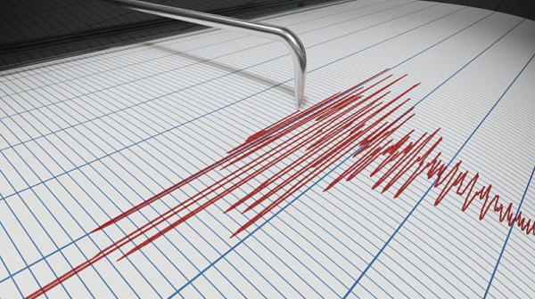 Смут и паника сред хората: Земетресение разлюля Ню Йорк