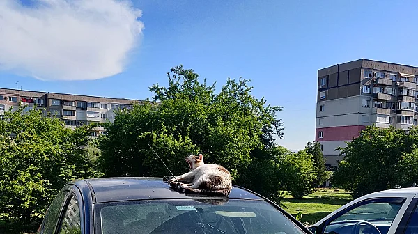 Слънчев и пролетен четвъртък ни чака днес