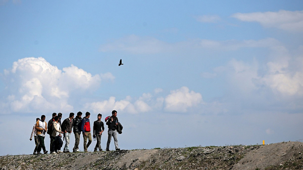 Над 40 нелегални мигранти са задържани край софийско село
