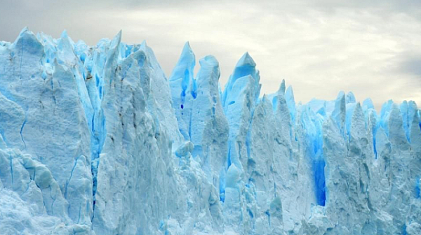 Първият в света ледников резерват беше открит в Антарктида