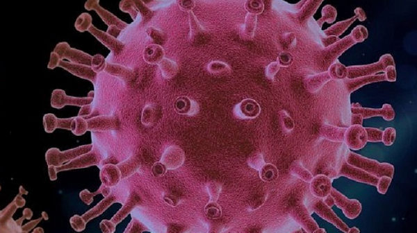 Професор Роланд Вайзендангер: 99,9 на сто коронавирусът е ”изтекъл” от лаборатория