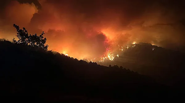 Европа е опасно неподготвена за горски пожари. Каква е ситуацията в България?