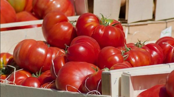 Цената на доматите стигна 3,56 лева за килограм, на краставиците 3,45 лева. Вижте по колко вървят основните храни