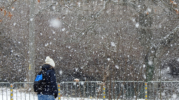 Сняг вали тази сутрин във Видин, Ловеч, Монтана и Пазарджик