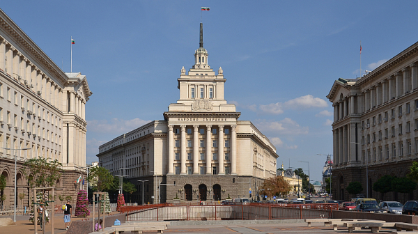 За какво гласуваха политическите и държавните лидери?