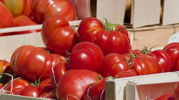 Експерт: Не можем да говорим за спекула на един пазар, на който има 30 търговци, които продават домати