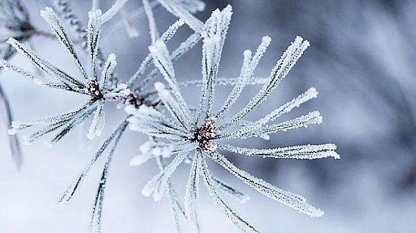 В съседна Румъния: Най-студената сутрин от 60 години