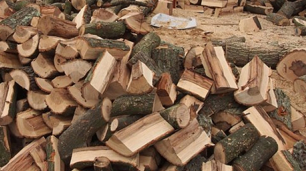 Ключови заводи в дървопреработващия сектор пускат кепенците