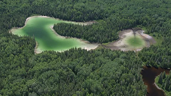 2500 километра по-малко: Балканите губят дивите си реки