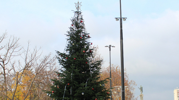 Светлините на коледната елха в Русе грейват на 1 декември
