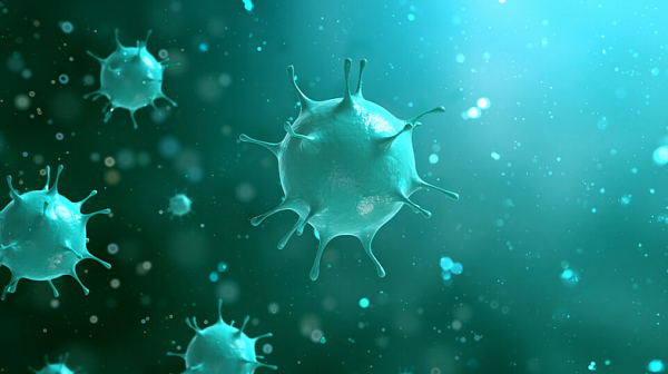 4,52 на сто са положителните проби с коронавирус при направени 13 761 теста