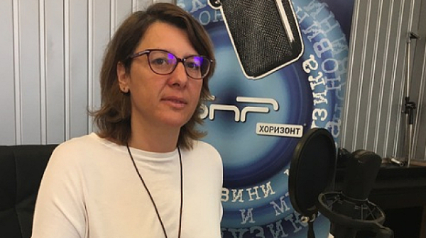 Весела Чернева: Кампанията за европейските избори у нас е напълно затъмнена от националната