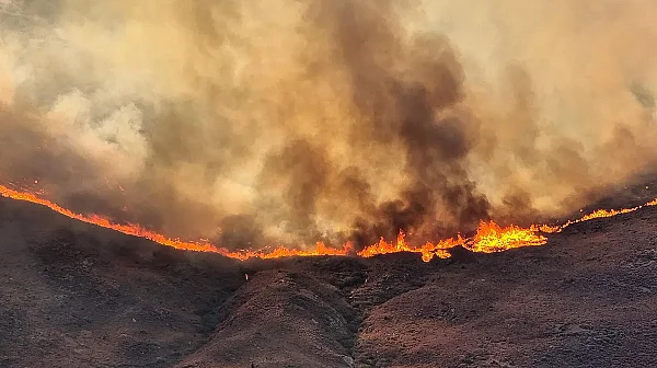 Горски пожари бушуват в Япония. Хиляди са евакуирани