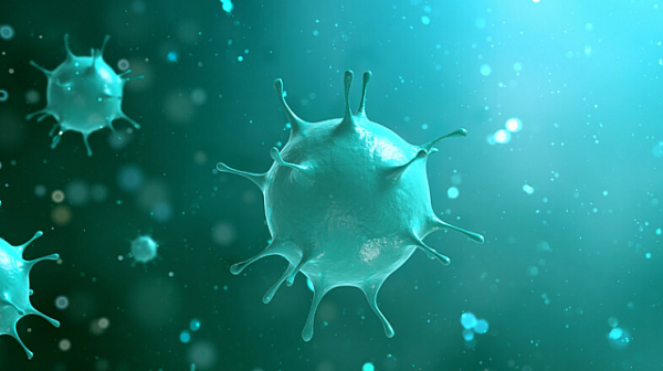 Нов вариант на коронавирус е открит във Франция
