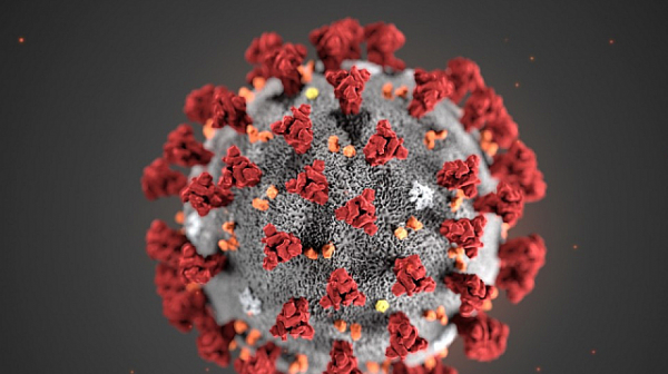 457 са новите случаи на коронавирус у нас