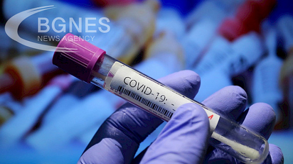 Няма новорегистрирани случаи на коронавирус у нас