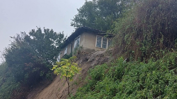 Природата посегна и върху Свищов