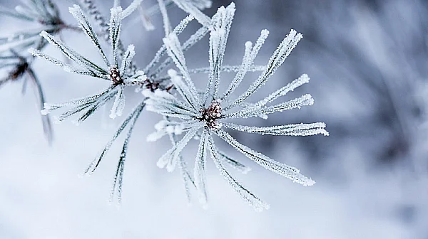 Студен въздух нахлува от североизток, сняг и поледици в части от страната