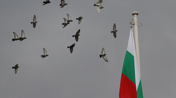 България първенец в ЕС по продажба на фалшиви стоки