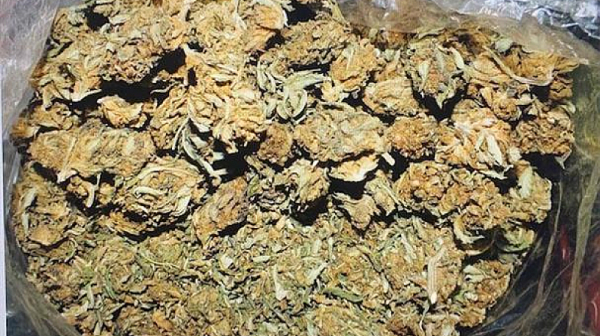 МВР иззе близо 13 кг марихуана