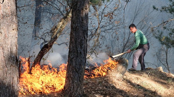 Екстремна опасност от пожари в 9 области на страната